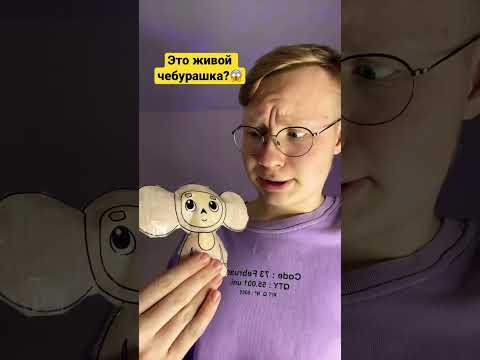 Живой чебурашка?🤭#чебурашка #shorts #популярное
