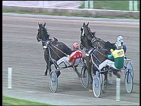 Trotto 28/03/2016 - 9° Corsa