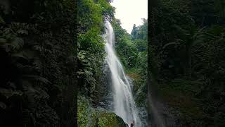 Download lagu CURUG CIGENTIS LOJI KARAWANG #curug #wisataindonesia #pesonaindonesia #viralvideo #shorts mp3
