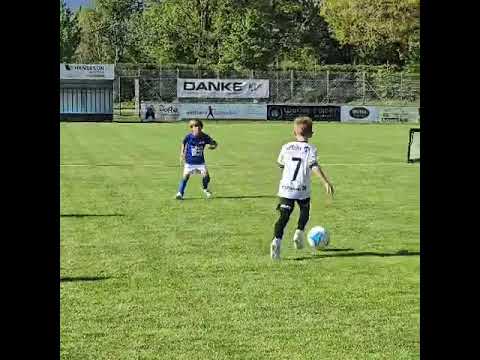 Sličica videa
