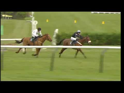 2013 Fulke Walwyn Kim Muir Challenge Cup - Cheltenham Festival