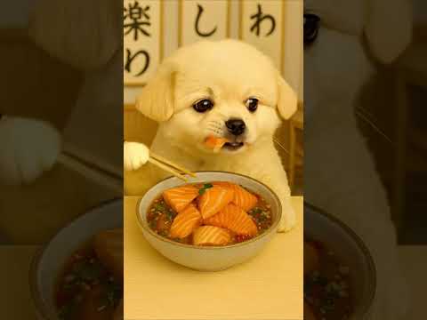 Spicy Salmon Sashimi Salad 🥗 #asmr #puppy #shorts #003