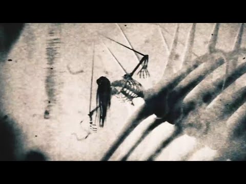 Eren Yeager Rumbling - Attack on Titan | Arcade (loving you is a losing game)