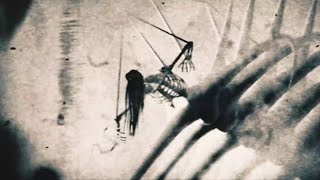 Download lagu Eren Yeager Rumbling - Attack on Titan | Arcade (loving you is a losing game) mp3 Download lagu Eren Yeager Rumbling - Attack on Titan | Arcade (loving you is a losing game) mp3