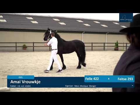 Locatiekeuring 18-6-2021 Stal fan de Kadyk