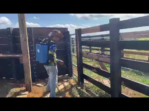 Pintando curral com bomba costal e óleo queimado.
