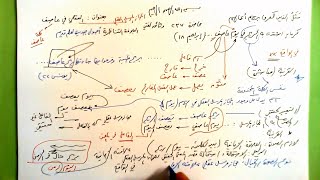 237 ★  العقلي في عاصف image