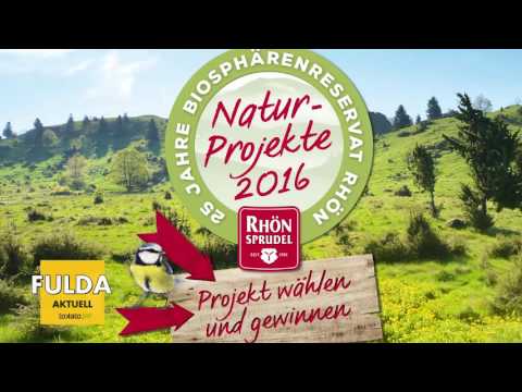 Der aktuelle P-Review aus der FULDA AKTUELL-Redaktion, KW 29