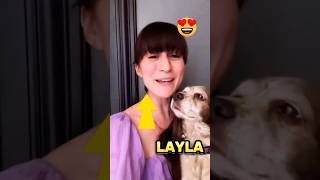 Download lagu Mobile Legends Heroes And Their Voice Actors 🤩 #mlbbshorts #mlbb #ml #mobilelegends #mlbbindonesia mp3 Download lagu Mobile Legends Heroes And Their Voice Actors 🤩 #mlbbshorts #mlbb #ml #mobilelegends #mlbbindonesia mp3