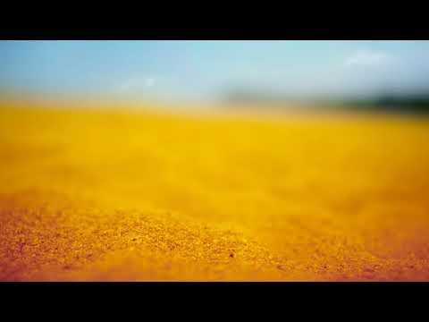 Sands of Amber [slowed & reverb] - FFXIV OST