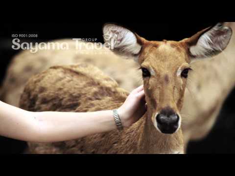 Экскурсии Паттайи: Открытый зоопарк Као-Кео 