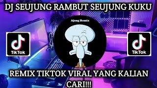 Download lagu DJ SEUJUNG RAMBUT SEUJUNG KUKU | REMIX TIKTOK TERBARU FULL BASS mp3