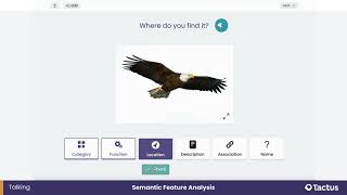 Semantic Feature Analysis - Tactus Virtual Rehab Center (Aphasia Therapy: Enhance Word Retrieval)