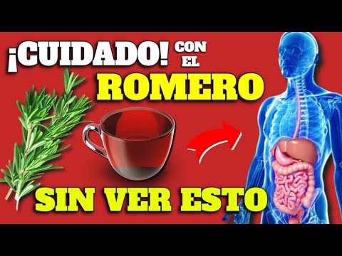 ¡ROMERO!: SÚPER PLANTA MEDICINAL con PODERES ANTIINFLAMATORIOS, ANTIOXIDANTES y ANTIBIÓTICOS