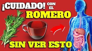 ¡ROMERO!: SÚPER PLANTA MEDICINAL con PODERES ANTIINFLAMATORIOS, ANTIOXIDANTES y ANTIBIÓTICOS
