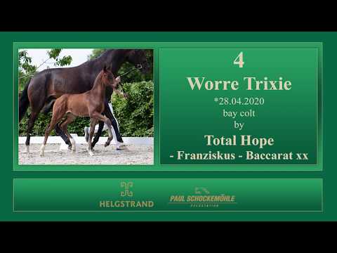 4 Worres Trixie by Total Hope - Franziskus - Baccarat xx