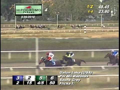 4TA CARRERA DEL DOMINGO 20 DE MARZO DE MARZO DEL 2016 HPR