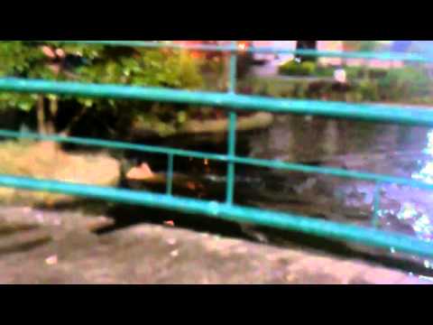 Design UFSC 2012.2 - Passaralho - Equipe Amarela