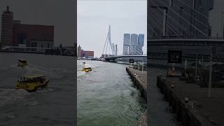 #boat #ferry #transport #vlog #visit #explore #travel #city #netherlands #rotterdam #fun #tourism