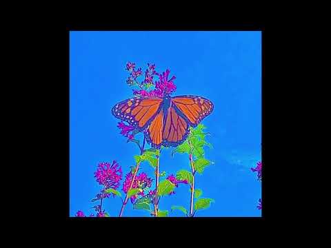 [FREE] Bedroom Pop x Indie x Clairo Type Beat - "BUTTERFLIES"