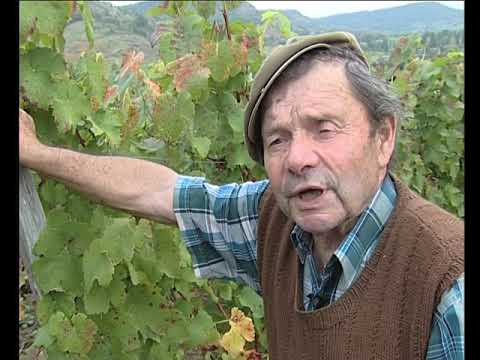 Lo vin a canjat