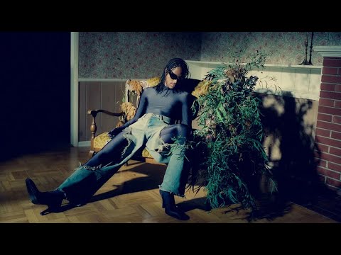 Steve Lacy – Static (Music Video)