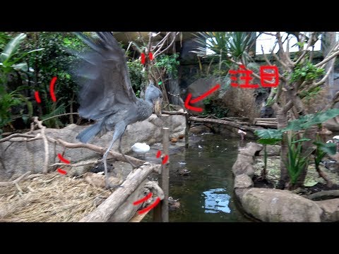 IUCN分類における絶滅の危険性を示す図。