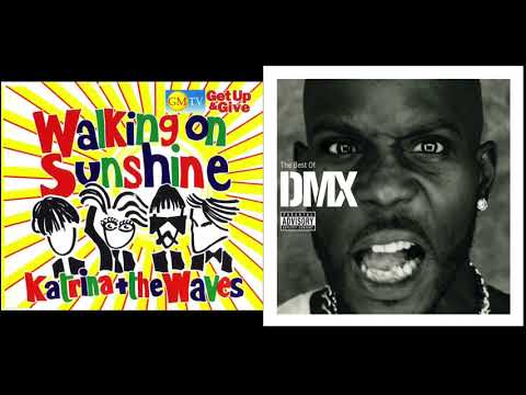 X Gon' Give Ya Sunshine - DMX & Katrina and The Waves