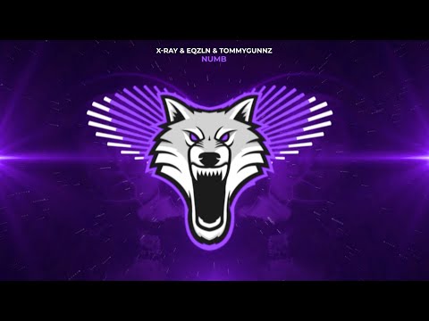 X-Ray & EQZLN & Tommygunnz - Numb
