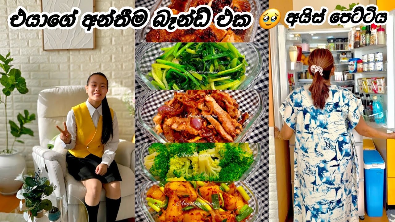 ශීතකරණය පොඩ්ඩක් අස් කරා 😘| Life in japan 🇯🇵🇱🇰