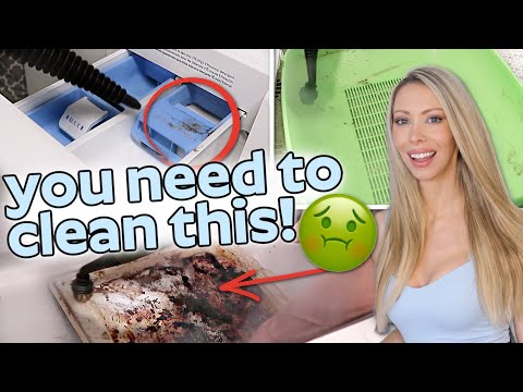 22 Gross Things You're Forgetting to Clean at Home