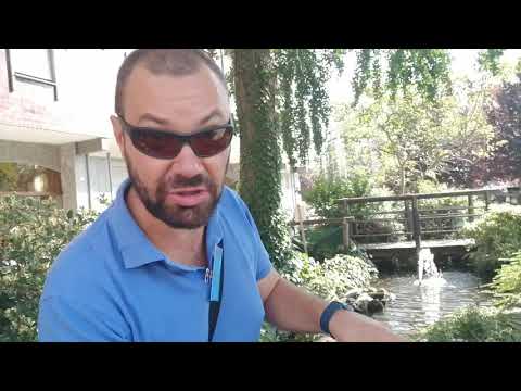 Nuova casa per una tartaruga abbandonata.