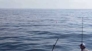 preview picture of video 'port hood cape breton.... tuna fishing aboard itsnowornever'