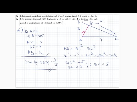 Model Bacalaureat 2022, Pedagogic - rezolvare