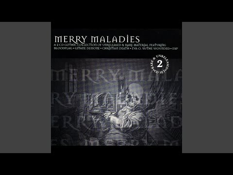 Beautiful Brown-Shirted Man