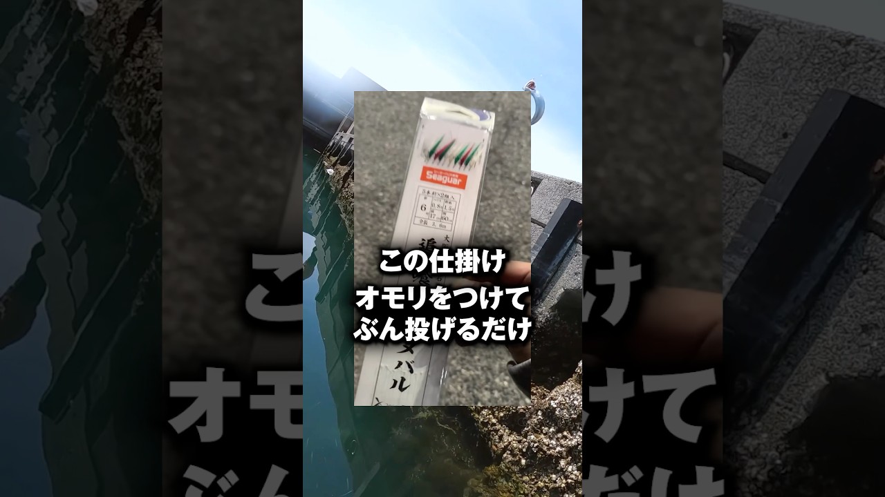 エサ不要のサビキが釣りの常識を変える。　#shorts #short