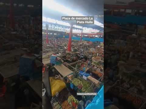 Galería La Plata Huila