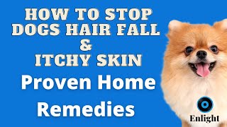 Proven Home Remedies to Reduce Hair Fall & Itchy Dogs skin