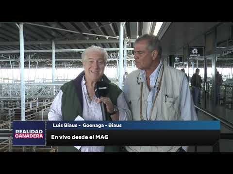 REALIDAD GANADERA - Luis Biaus (18-12-24)
