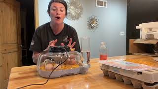 Real Review: Chicken & Quail Egg Incubator Tested for Everyday Use x9040
