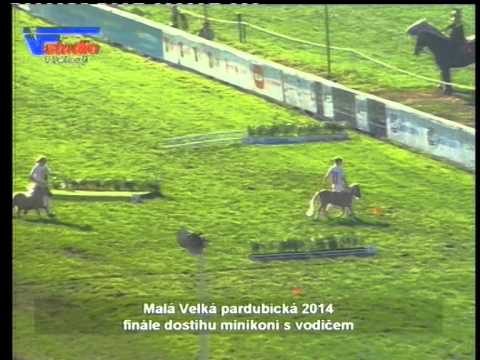 Malá Velká pardubická 2014 finále dostihu minikoní s vodičem
