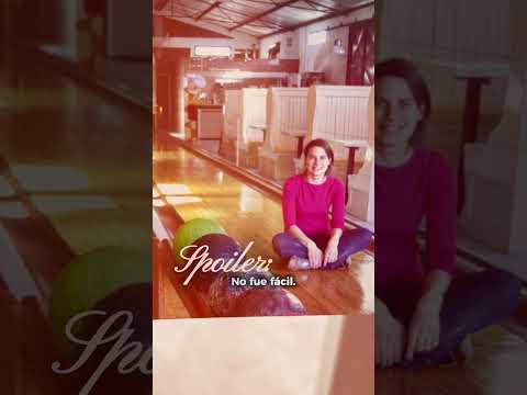 La Historia de MaleBarraco Inmobiliaria #merlosanluis #realestate