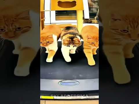 13 de agosto de 2025