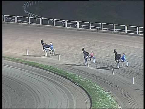 Trotto 27/11/2016 - prova di qualifica