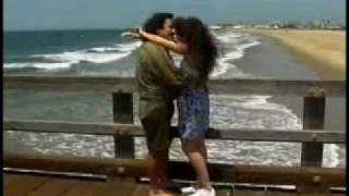 DOS CARTAS Y UNA FLOR LOS CAMINANTES de los caminantes