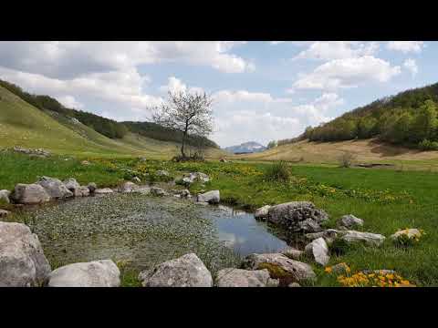 Studeni potok Umoljani 2