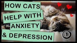 How Cats Help With Anxiety and Depression