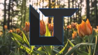 Aiden Grimshaw - Giving It Up (Wizard Remix)