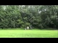 Tarzan Trailer 2