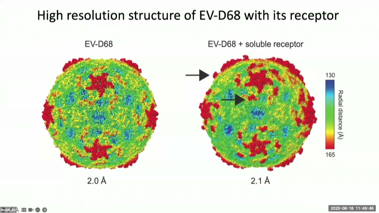 Frontiers in Comparative Systems Virology Symposium: Jan Carette